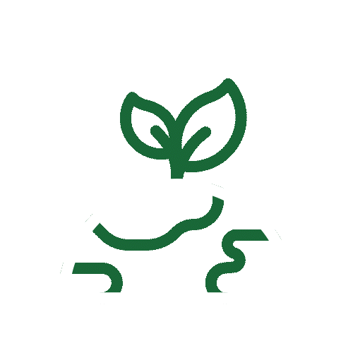 Eco-friendly